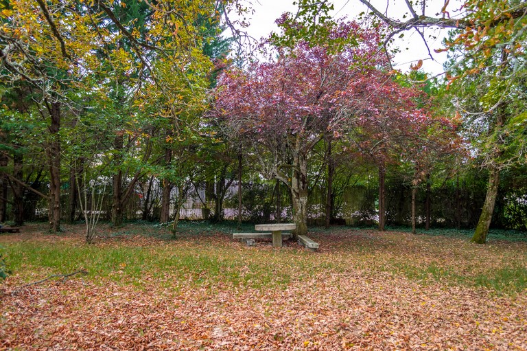jardin